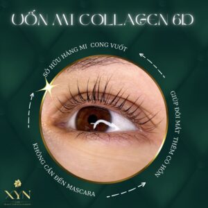 UỐN MI COLLAGEN 6D