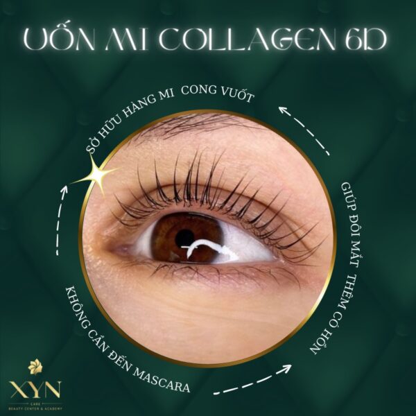 UỐN MI COLLAGEN 6D